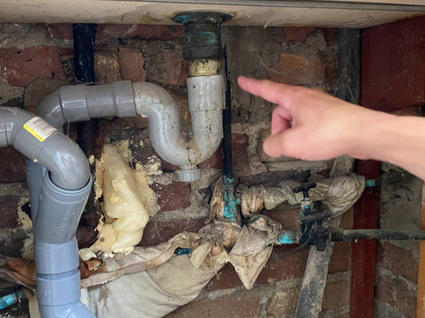 Water damage restoration mold remediation in Tiffin, IA