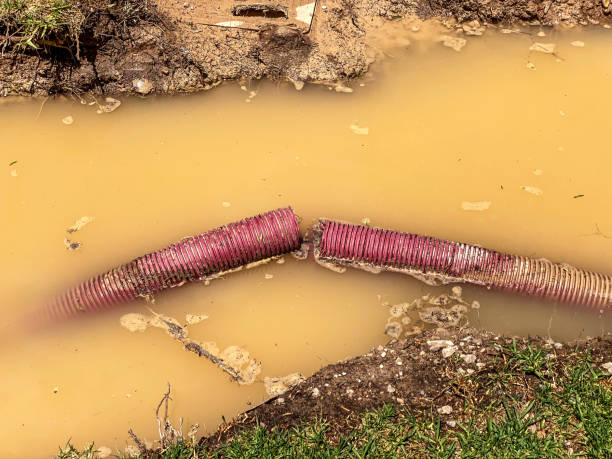Best Water damage restoration specialists  in Tiffin, IA