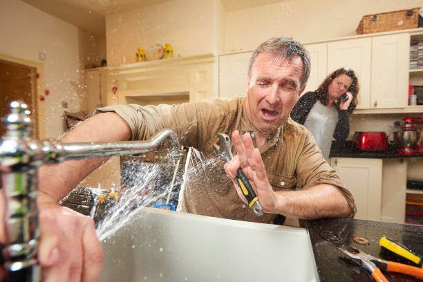 Best Professional water damage repair  in Tiffin, IA